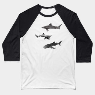 Sharks : Oceanic Whitetip, Basking Shark, Whale Shark Baseball T-Shirt